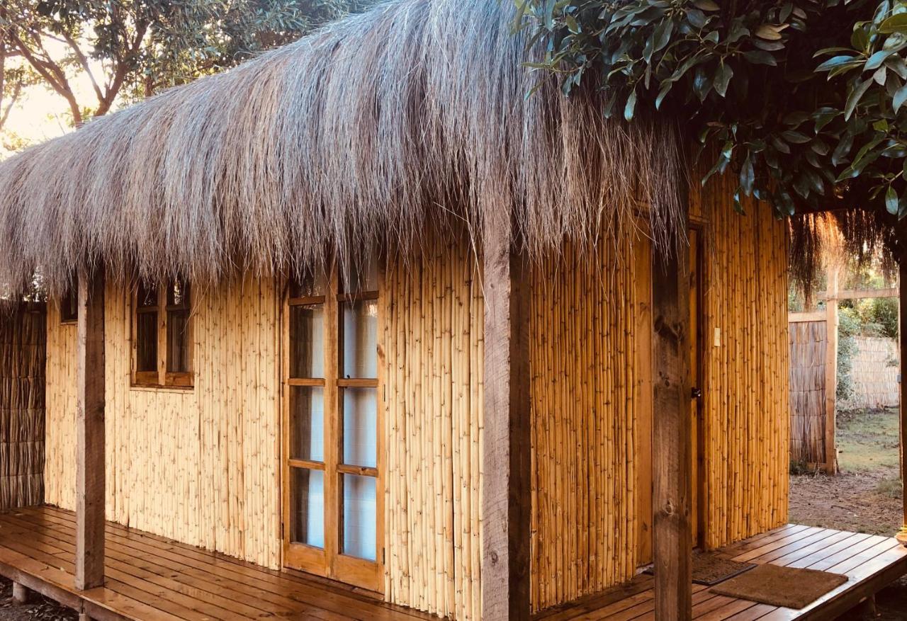 El Arbol Eco Lodge Ла-Серена Экстерьер фото