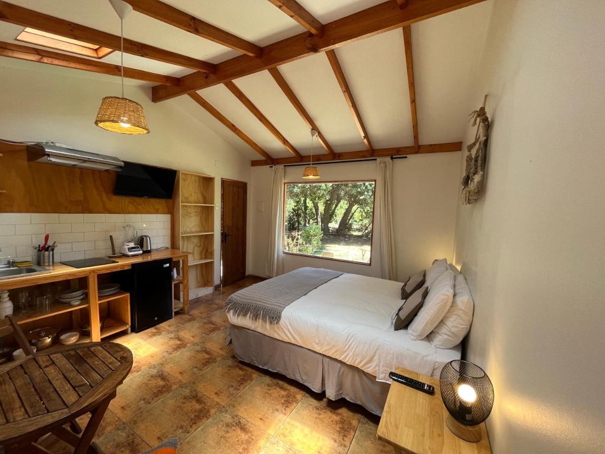 El Arbol Eco Lodge Ла-Серена Экстерьер фото