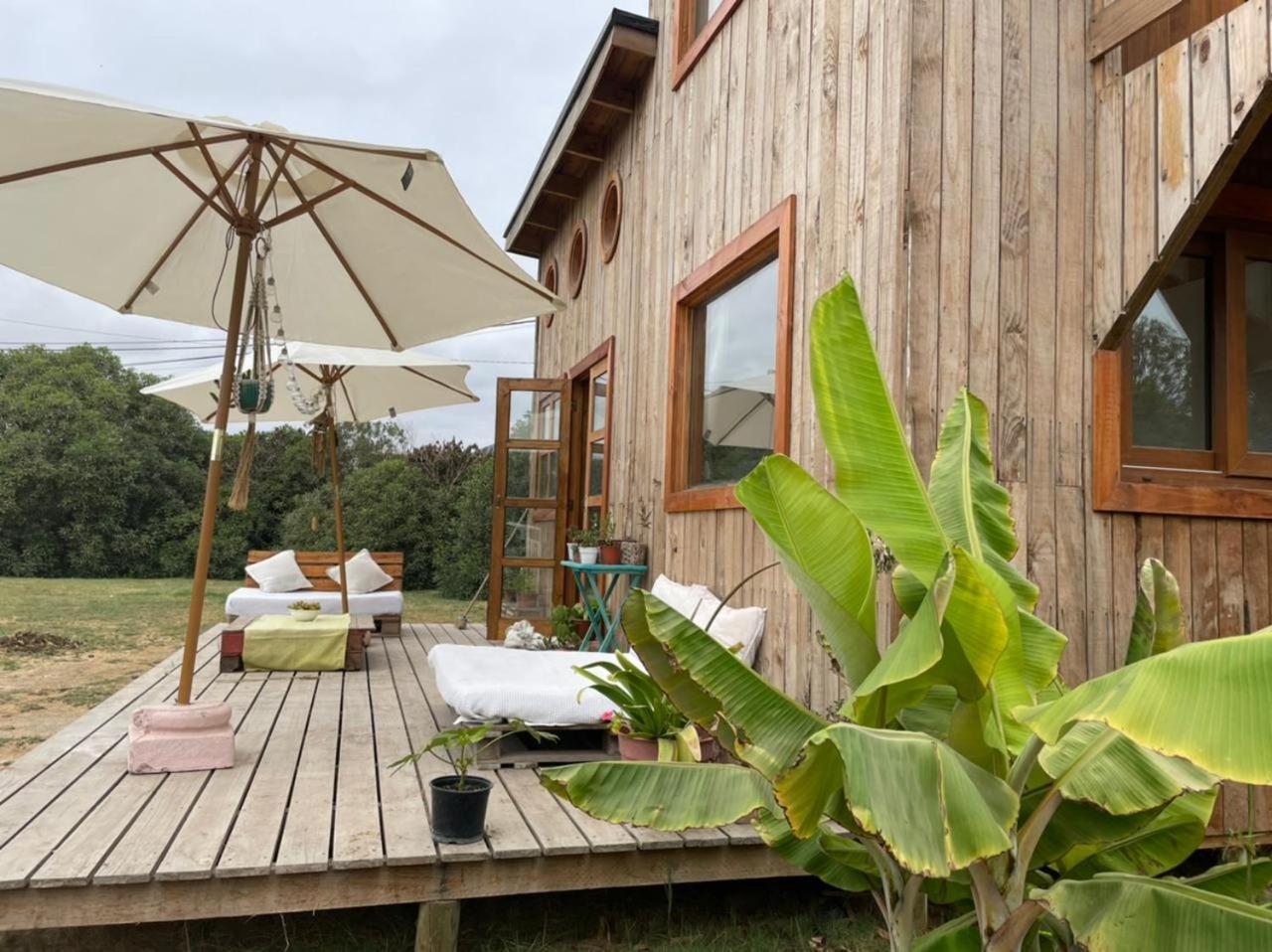 El Arbol Eco Lodge Ла-Серена Номер фото